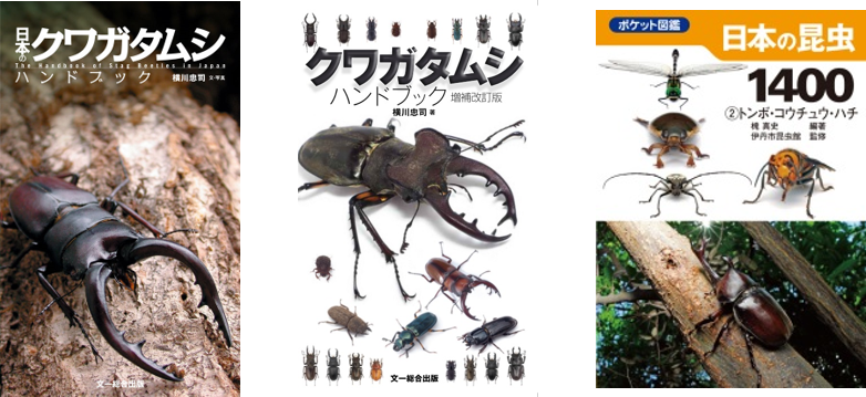 市場 日本のクワガタムシ ポケット図鑑