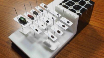 【時短・高耐久】自分用昆虫標本専用のりの特徴「耐久性（保存性）が高い」について