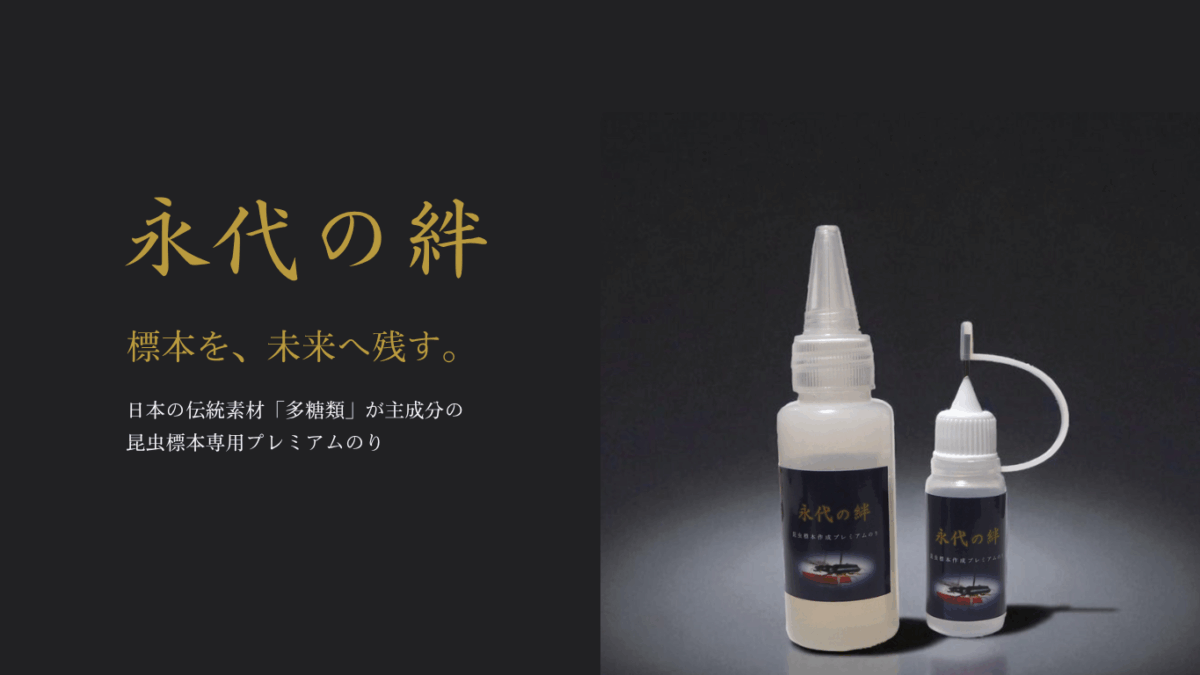 「永代の絆」昆虫標本作成プレミアムのりの使用方法