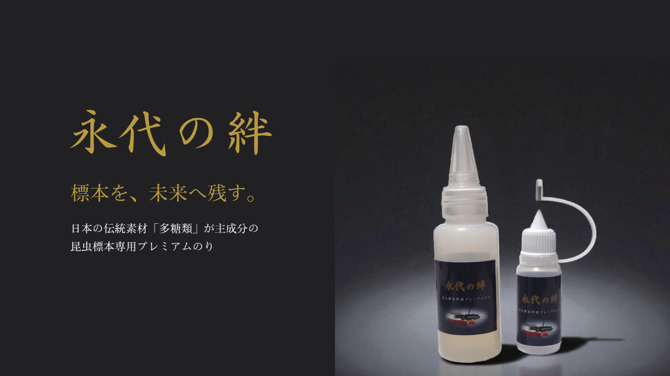 永代の絆」昆虫標本作成プレミアムのりの使用方法 | 生きもの科学研究